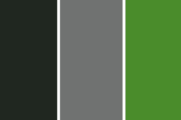 color-palette
